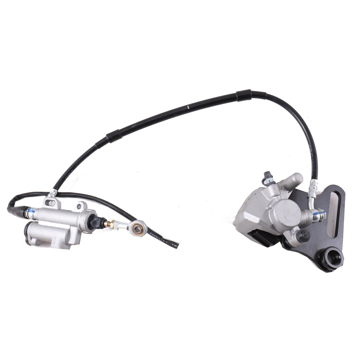 Rear Brake Assembly